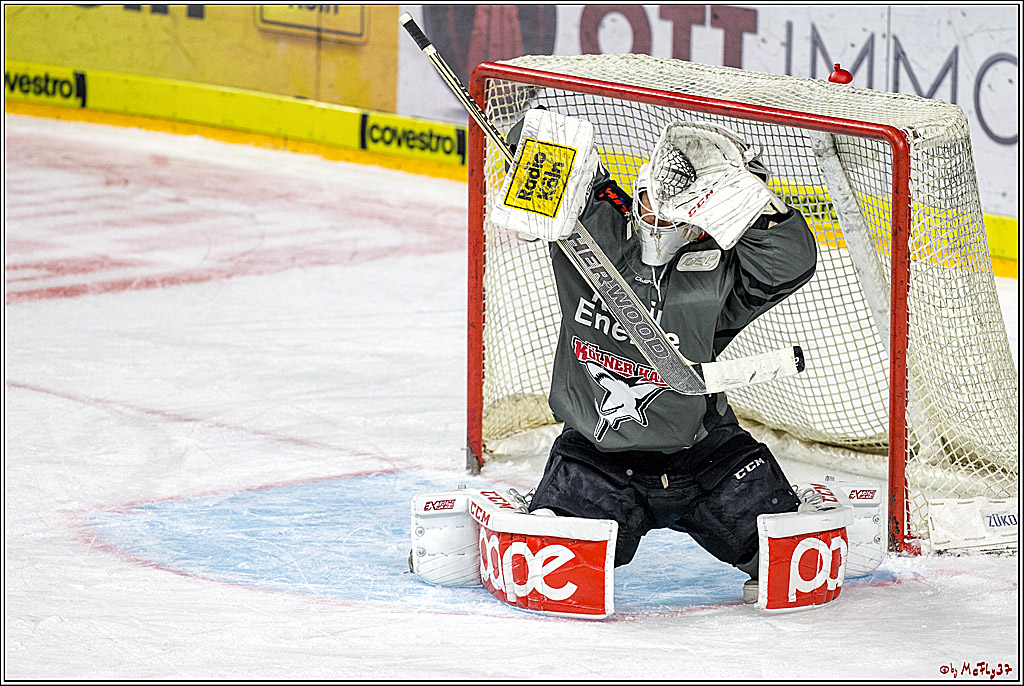 DEL Koelner Haie - Augsburg Panther, 14.09.2018